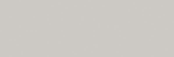 RAKO Unicolor obkladačka ( Concept ) svetlá sivá 20x60 WAAVE112