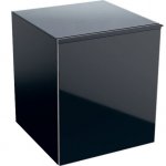 Geberit Acanto 450x520x476 mm, různá provedení 500.618 Boční nízká skříňka s jednou zásuvkou a vnitřní zásuvkou Typ: 500.618.16.1 korpus lakovaný matný černý, dveře sklo lesklé černé