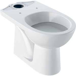 Geberit Selnova Stojacie WC pre splachovaciu nádržku umiestnenú na WC mise, s hlbokým splachovaním, zvislý odtok 360 x 390 x 670 mm 500.281.01.7